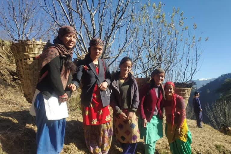 Women in malheti