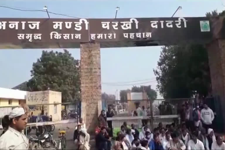 charkhi dadri farmers protest