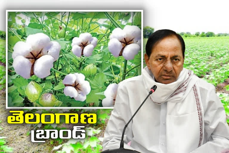 kcr