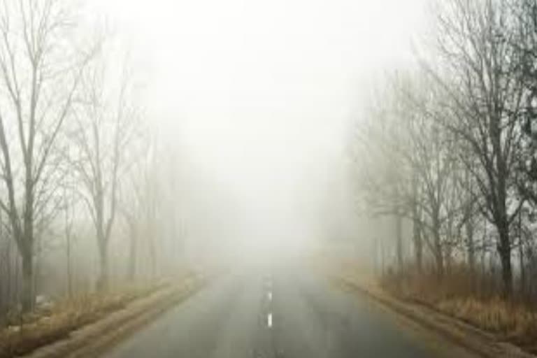 Yellow warnings for 11 districts in Odisha due to dense fog