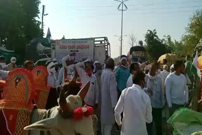 chakkajam-agitation-by-farmers-for-demand-of-cotton-purchasing-center-in-amravati