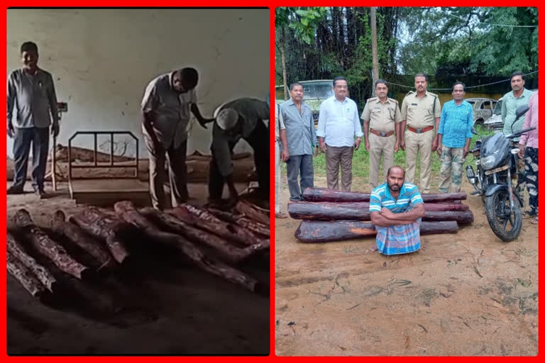 red-sandalwood-logs-seized-