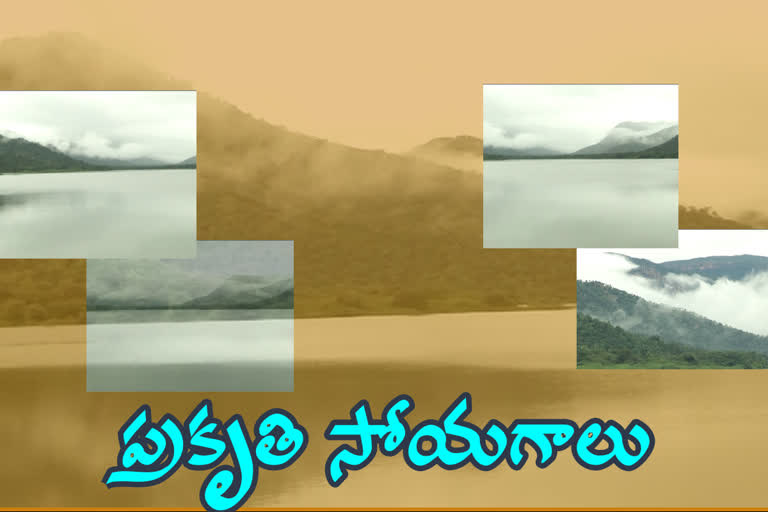 kalyani-dam-attracts-tourists-at-chittoor-district