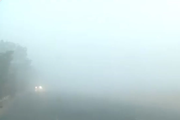 'Moderate' fog in Delhi, minimum temp dips below 10 deg C: IMD