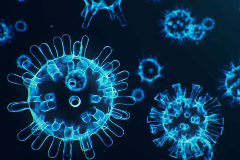 391 new coronavirus cases  ഹരിയാനയിൽ 1,391 പേർക്ക് കൂടി കൊവിഡ്  ഹരിയാനയിലെ കൊവിഡ്  ഹരിയാനയിലെ പുതിയ കൊവിഡ് കണക്ക്  haryana recorded 1,391 new coronavirus cases  covid in haryana  haryana covid updates