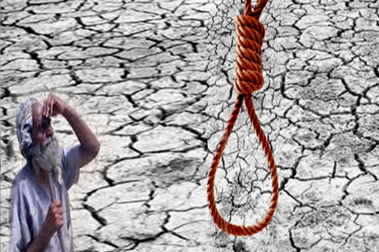 234 farmer suicides in one year in Chhattisgarh: BJP leader