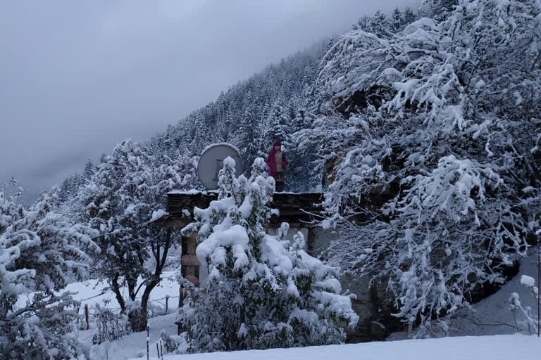 snowfall started in Atal Tunnel Rohtang