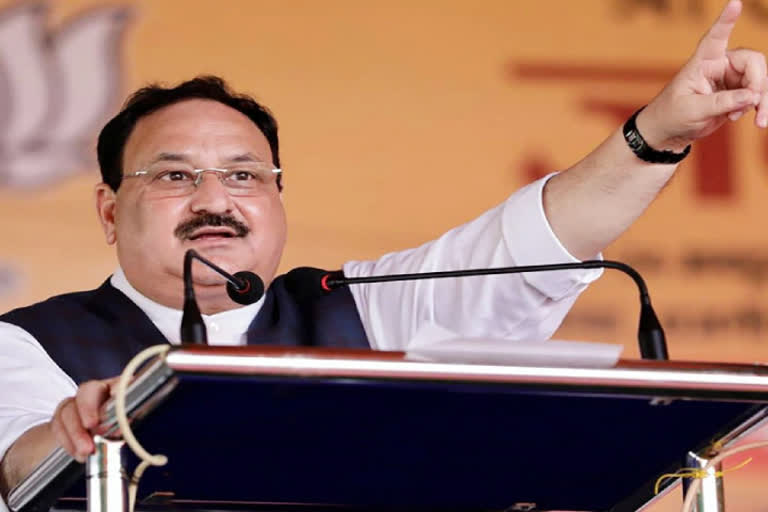 bjp jp nadda reacted happiness on rajasthan panchayat election, jaipur latest hindi news