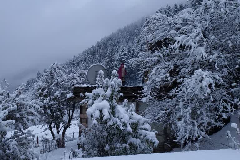 snofall started in kullu