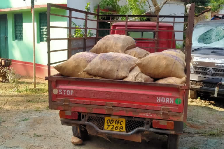 Three quintal medal bark seized in Chaibasa