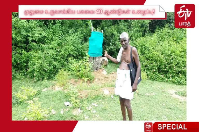 முதுமை உருவாக்கிய பசுமை: 40 ஆண்டு உழைப்பு