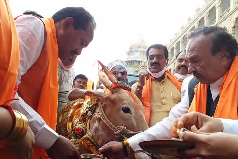 Karnataka passes anti-cow slaughter bill in Assembly  ഗോവധ നിരോധന നിയമം  കർണാടക നിയമസഭ  കർണാടക