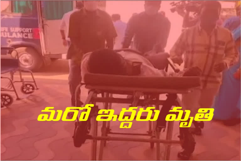 ఏలూరు వింత వ్యాధి ఘటనలో మరో ఇద్దరు మృతి