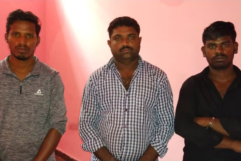 stealing goat Three arrested for stealing goat goat Dharmapuri கோயில் ஆடு திருட்டு ஆடு தருமபுரி காரிமங்கலம் கோயில் ஆட்டை திருடியதாக மூவர் கைது