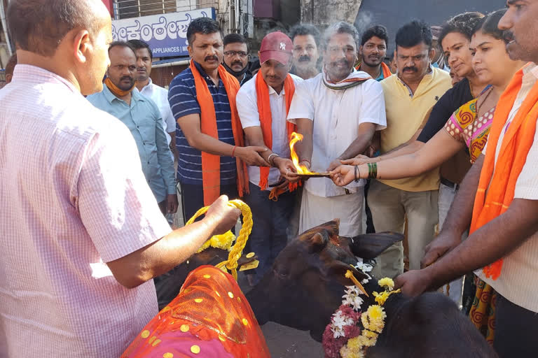 ಗೋ ಪೂಜೆ ಮಾಡಿ ವಿಧೇಯಕ ಸ್ವಾಗತಿಸಿದ ಟಿ.ಡಿ. ಮೇಘರಾಜ್​