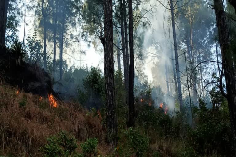 Fire in Srinagar forest