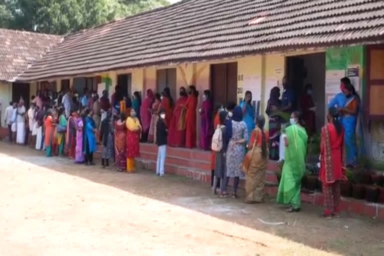 trissur local body election  local body election  trissur news  തൃശൂര്‍ വാര്‍ത്തകള്‍  തദ്ദേശ തെരഞ്ഞെടുപ്പ് വാര്‍ത്തകള്‍