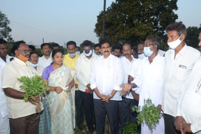 devineni uma veerulapadu mandal visit