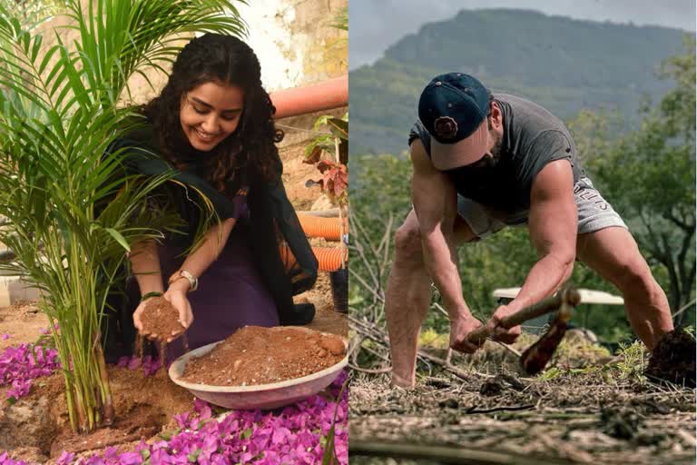 Anupama takes up the green india challenge.. Salman Khan hits the field to plough the land