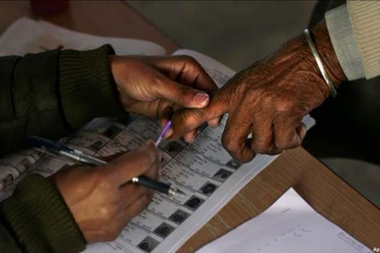 haryana local body election nomination