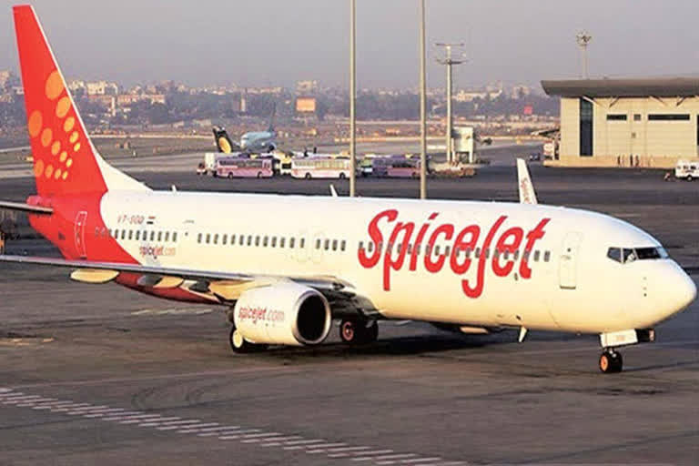 SpiceJet shares gain over 6 pc