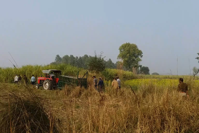 बरेली हाई-वे के पास मिले बाघ के पंजों के निशान