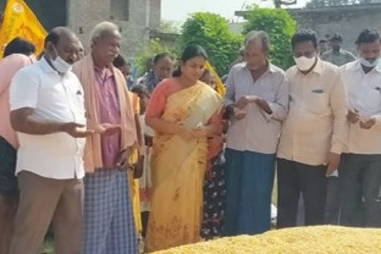 thangirla soumya visit pallampalli