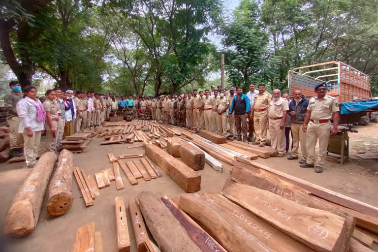 Forest department seizes timber stocks in Nandurbar