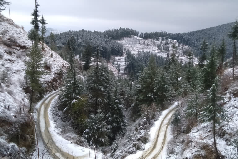 snowfall in kufri