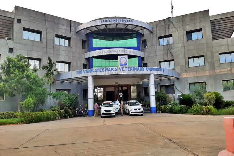 sv veterinary  university