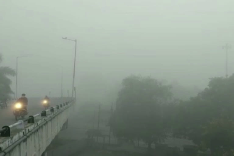 cold dense fog in Chittorgarh, rajasthan weather update