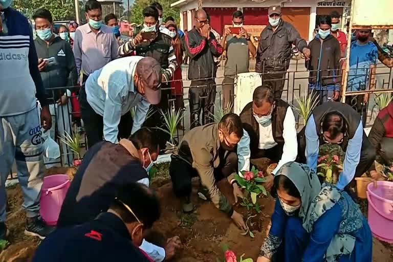 Tree planting program