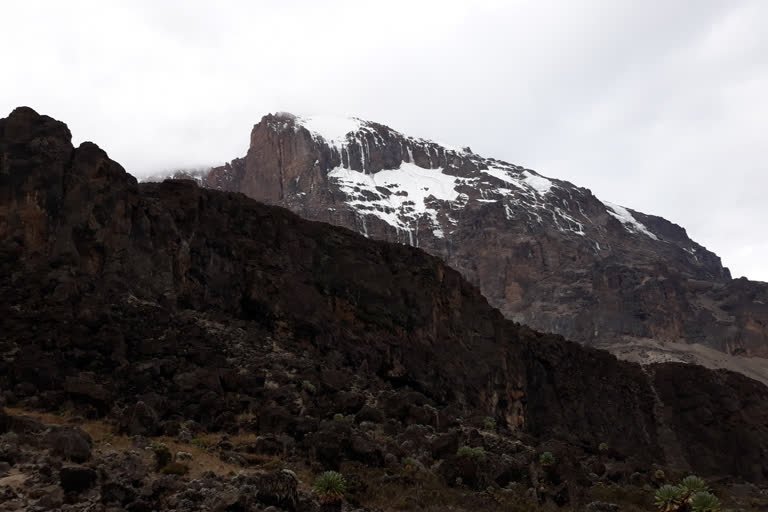 Mt Kilimanjaro