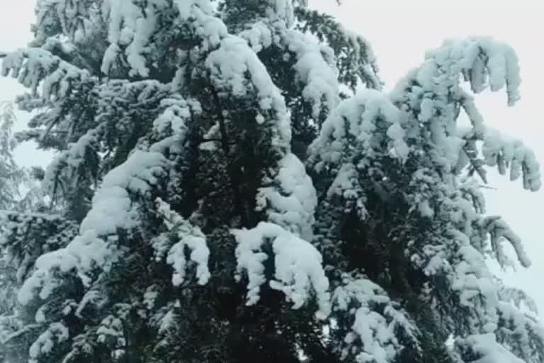 snowfall in kinnaur