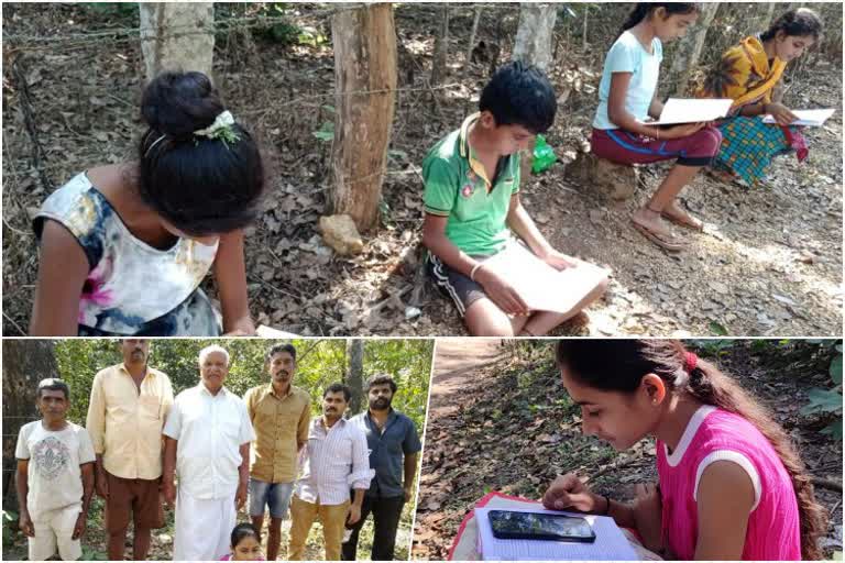 Kids sitting in the Wild for online education