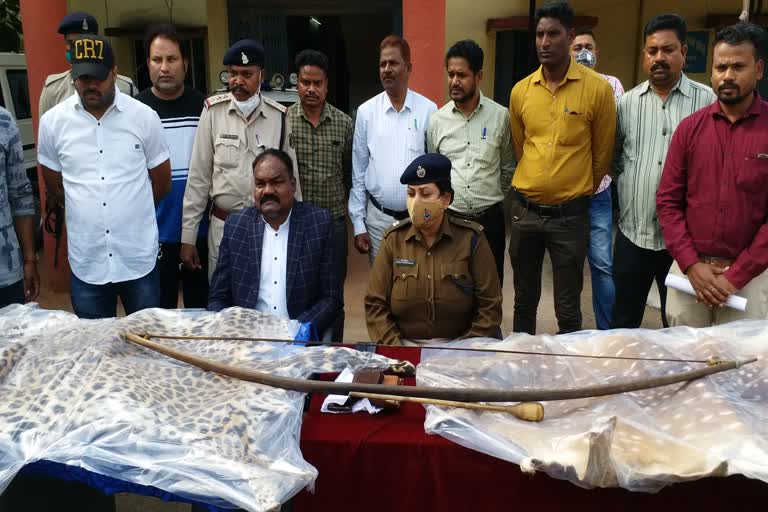 wildlife-smugglers-arrested-with-leopard-and-deer-pelt-in-mahasamund