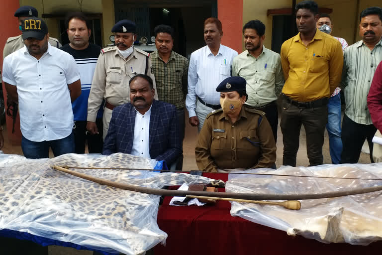 wildlife smugglers arrested with leopard and deer pelt in mahasamund