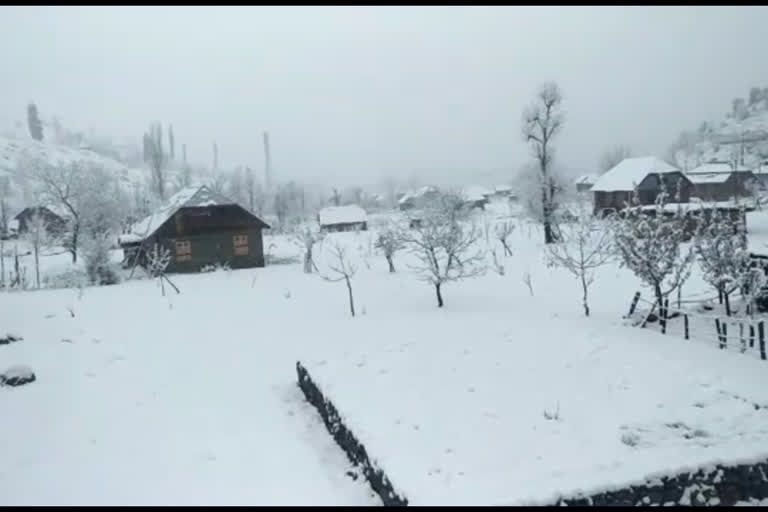 fresh snowfall record in district reasi