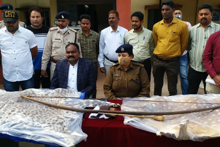 Three arrested with leopard, deer skin in Chhattisgarh