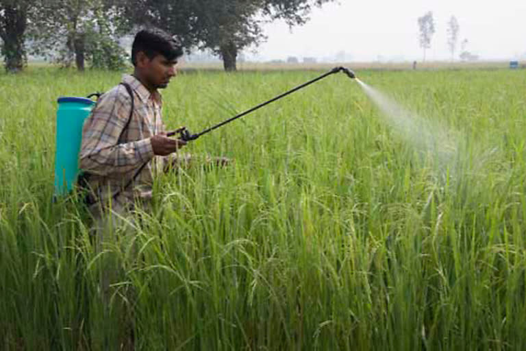 Lethal pesticide residues haunt humanity with its deadly fangs