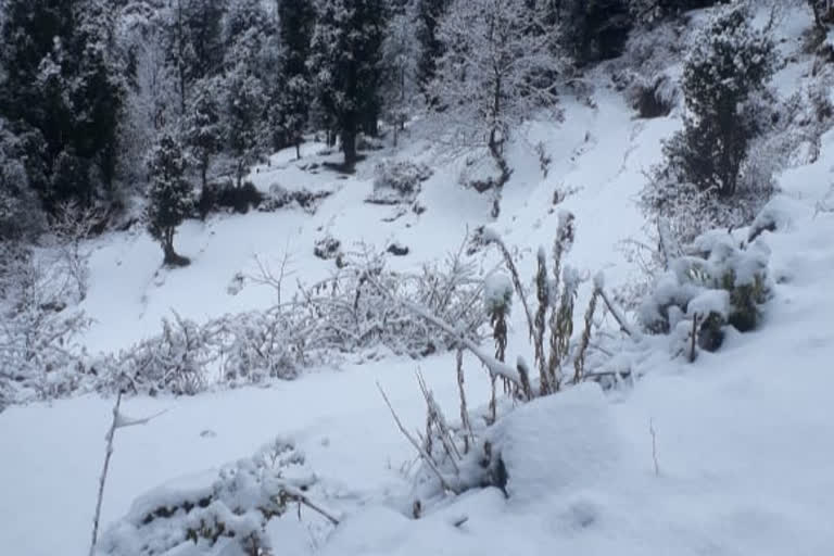 First snowfall of season in Bharmour chamba