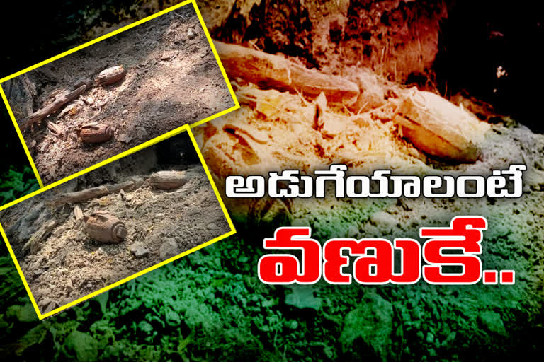 గ్రనేడ్ల కలకలం: ఏ చెట్టు కింద ఏ బాంబు ఉందో!