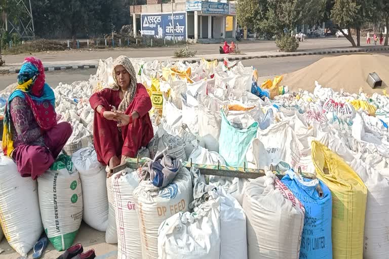 millet purchasing