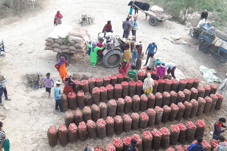 farmers of baghpat were loss due to protest in delhi.