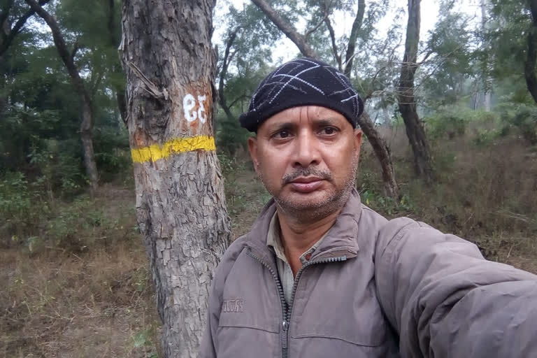 forest sub inspector