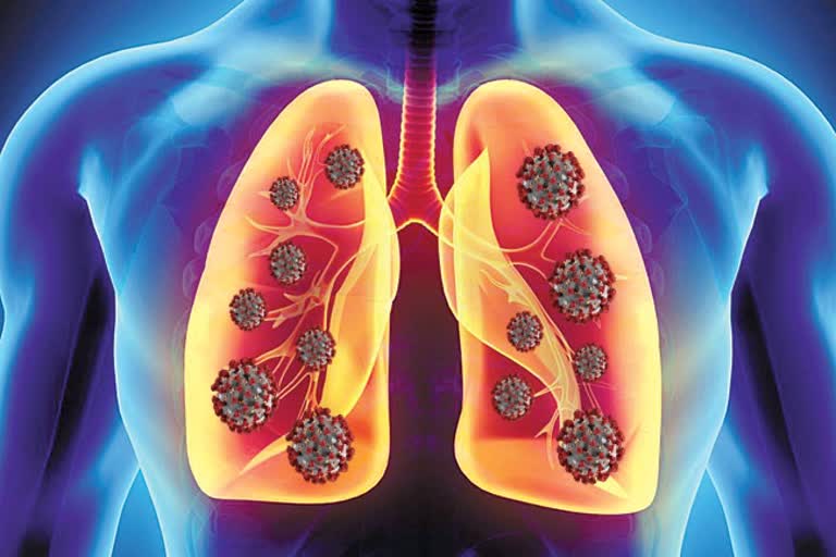 'How the novel coronavirus hijacks and damages lung cells decoded'