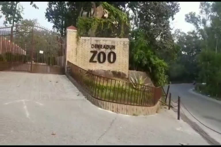 dehradun-zoo