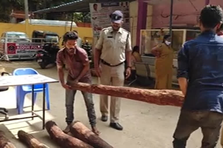 Red sandalwood worth Rs 1 lakh 50 thousand seized at kadapa district