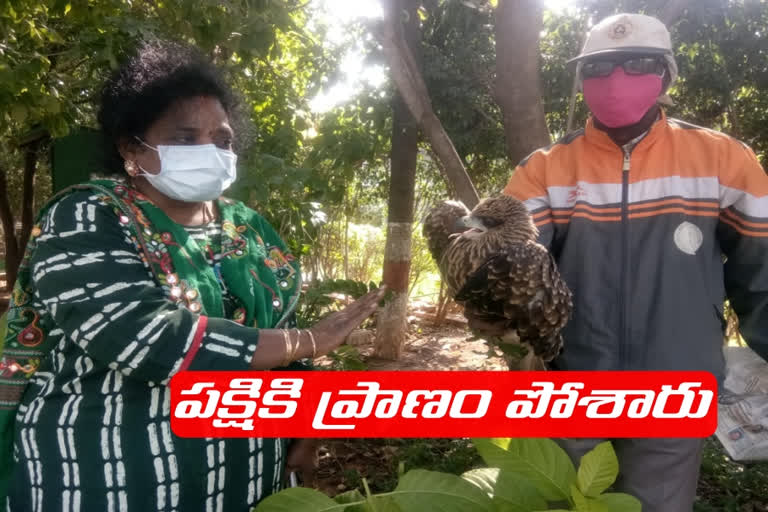 governer rescue bird in raj bhavan