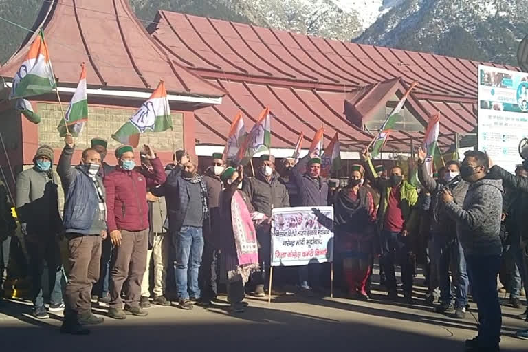 kinnaur congress protest